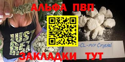 гидра Кингисепп
