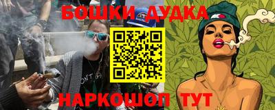гидра Кингисепп