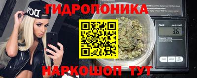 тгк Кимры