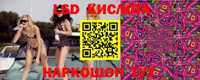 гидра Кингисепп