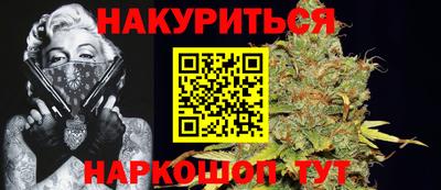 гидра Кингисепп