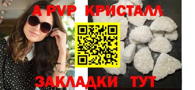 гидра Кингисепп