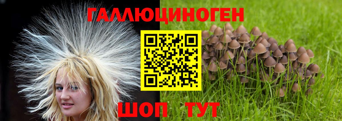 Псилоцибиновые грибы ЛСД Кропоткин